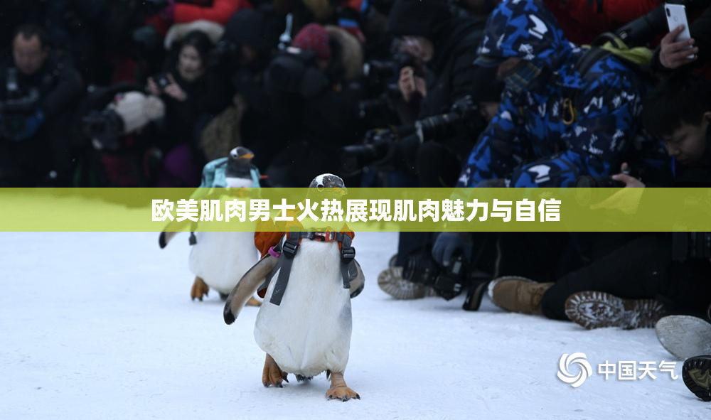 欧美肌肉男士火热展现肌肉魅力与自信
