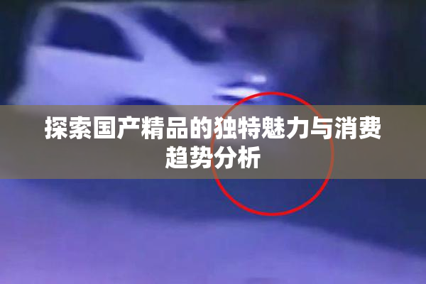 探索国产精品的独特魅力与消费趋势分析