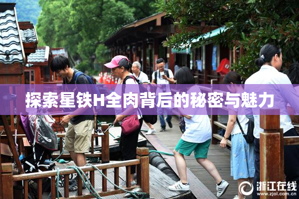 探索星铁H全肉背后的秘密与魅力