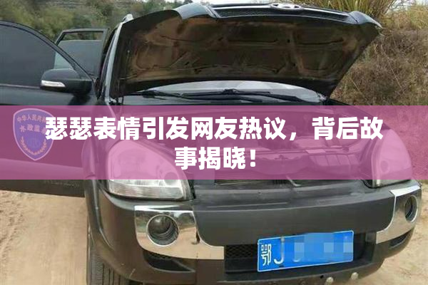 瑟瑟表情引发网友热议，背后故事揭晓！