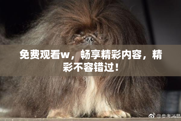 免费观看w，畅享精彩内容，精彩不容错过！