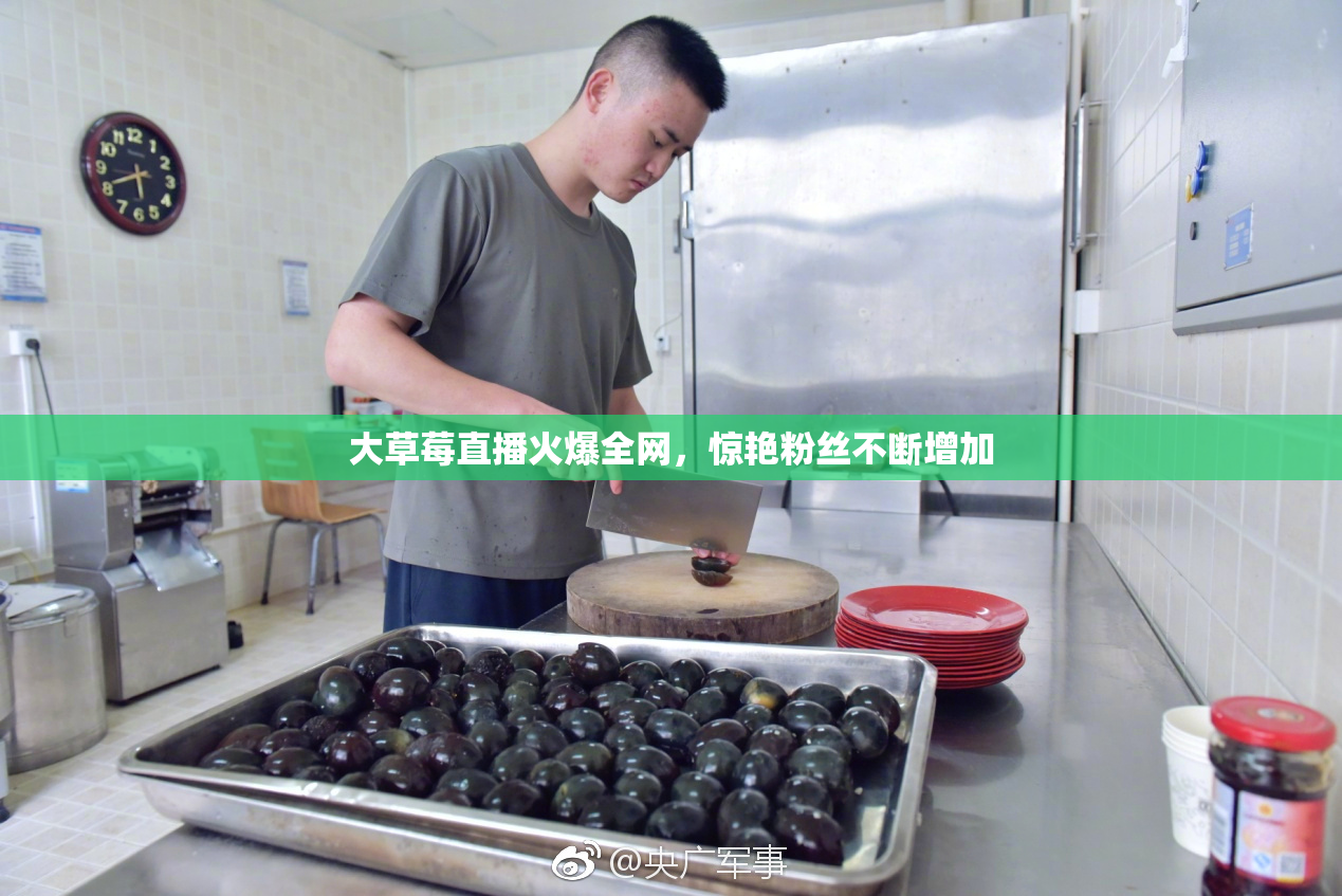 大草莓直播火爆全网，惊艳粉丝不断增加
