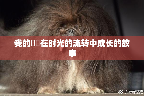 我的妺妺在时光的流转中成长的故事