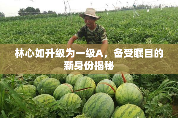 林心如升级为一级A，备受瞩目的新身份揭秘