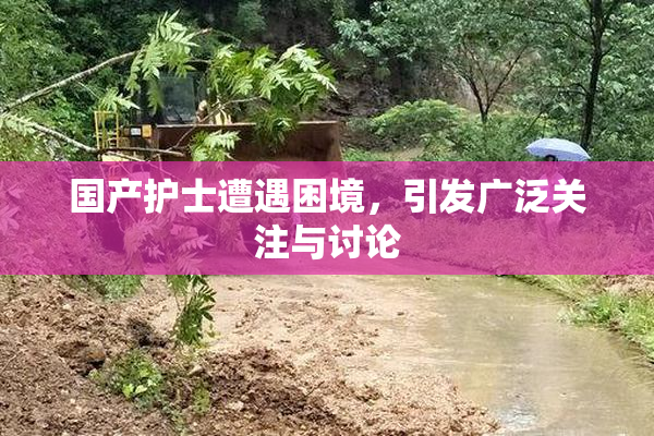 国产护士遭遇困境，引发广泛关注与讨论