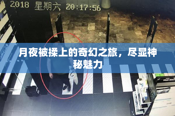 月夜被揉上的奇幻之旅，尽显神秘魅力