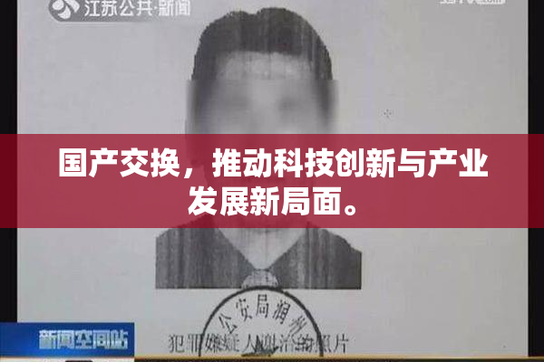 国产交换，推动科技创新与产业发展新局面。