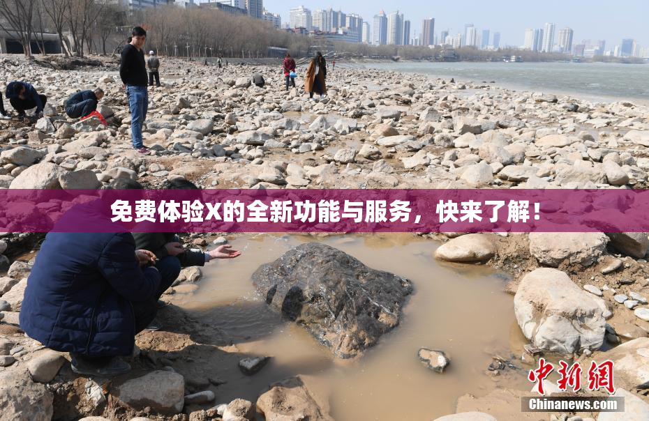 免费体验X的全新功能与服务，快来了解！