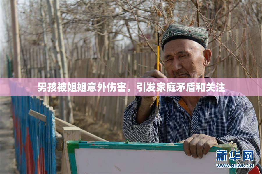 男孩被姐姐意外伤害，引发家庭矛盾和关注