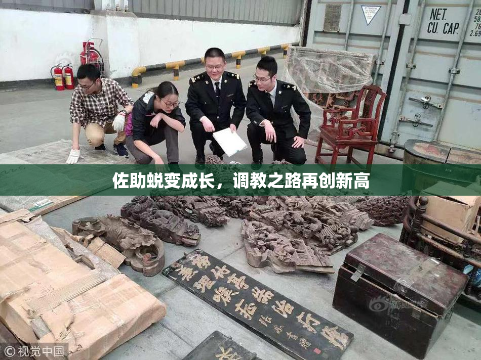 佐助蜕变成长，调教之路再创新高