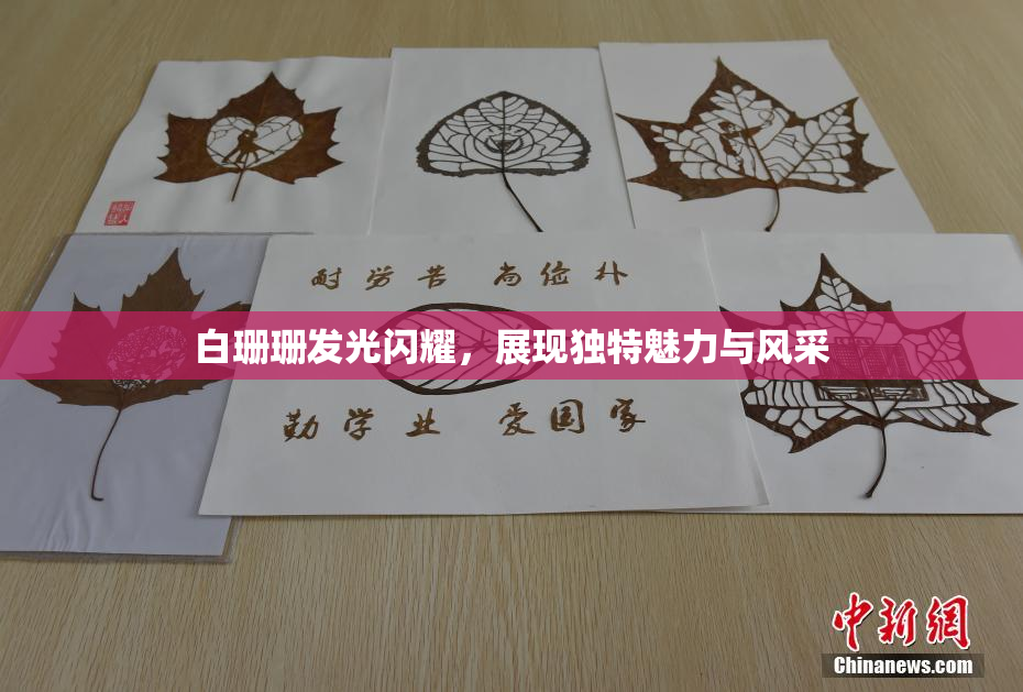 白珊珊发光闪耀，展现独特魅力与风采
