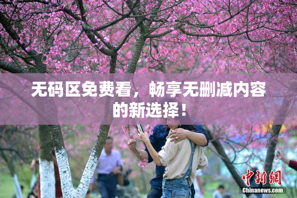 无码区免费看，畅享无删减内容的新选择！