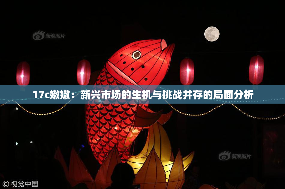 17c嫩嫩：新兴市场的生机与挑战并存的局面分析