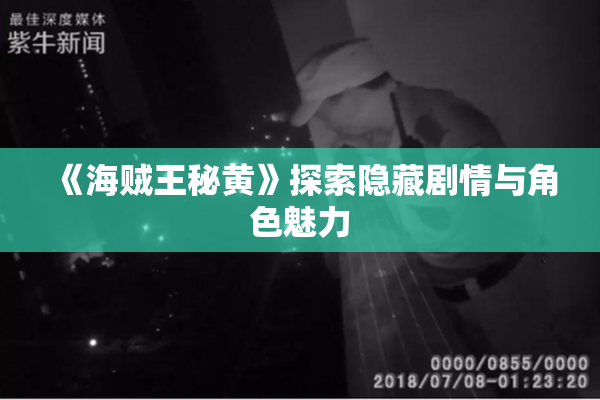 《海贼王秘黄》探索隐藏剧情与角色魅力