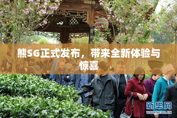 熊SG正式发布，带来全新体验与惊喜