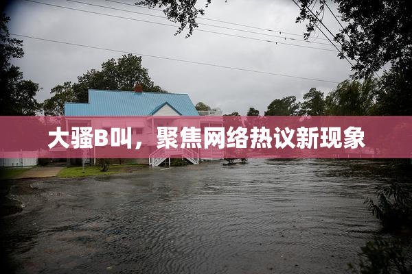 大骚B叫，聚焦网络热议新现象
