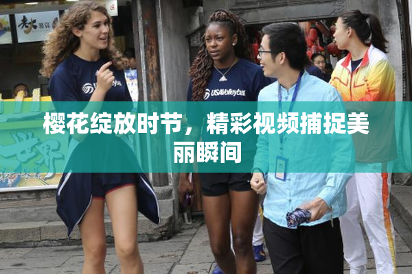 樱花绽放时节，精彩视频捕捉美丽瞬间