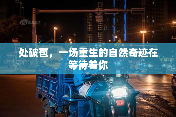 处破苞，一场重生的自然奇迹在等待着你