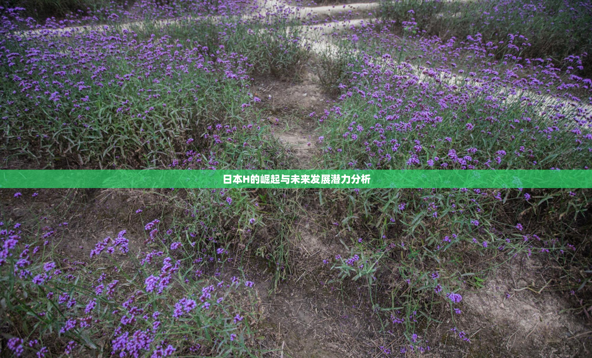 日本H的崛起与未来发展潜力分析