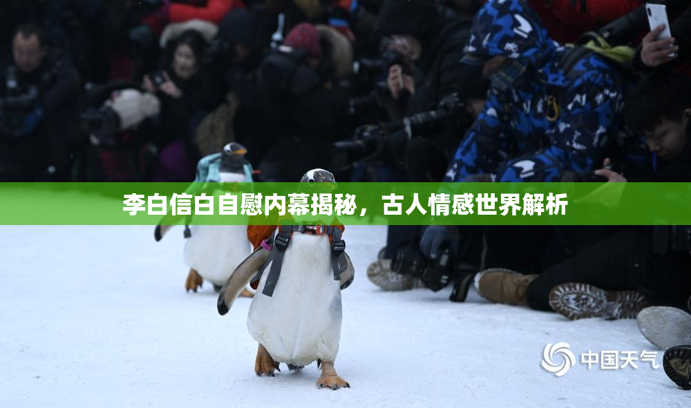 李白信白自慰内幕揭秘，古人情感世界解析