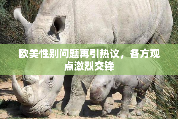 欧美性别问题再引热议，各方观点激烈交锋