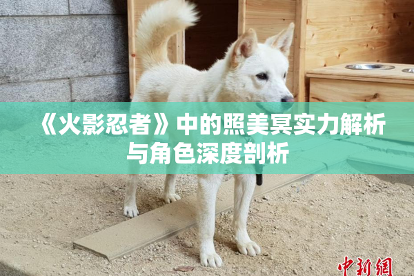 《火影忍者》中的照美冥实力解析与角色深度剖析
