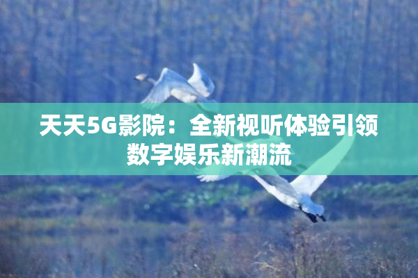 天天5G影院：全新视听体验引领数字娱乐新潮流