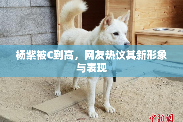 杨紫被C到高，网友热议其新形象与表现