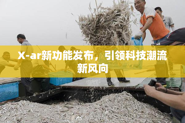 X-ar新功能发布，引领科技潮流新风向