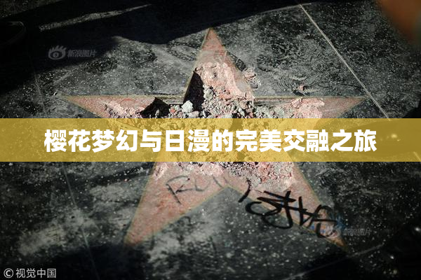 樱花梦幻与日漫的完美交融之旅