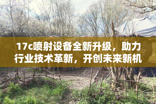 17c喷射设备全新升级，助力行业技术革新，开创未来新机遇