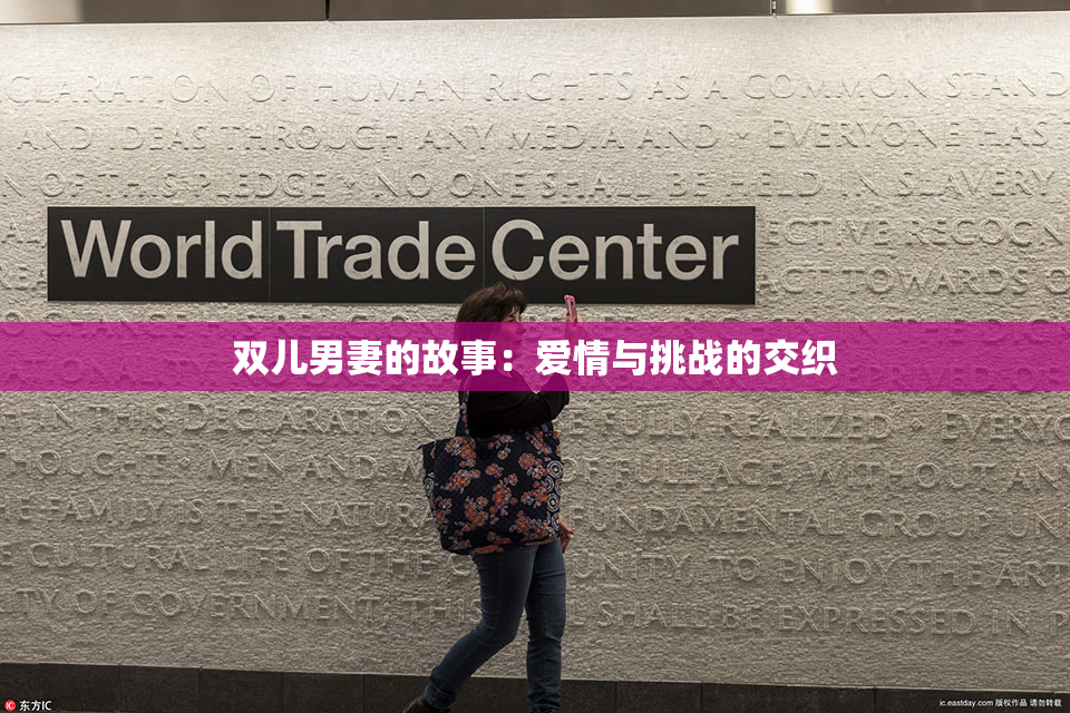 双儿男妻的故事：爱情与挑战的交织