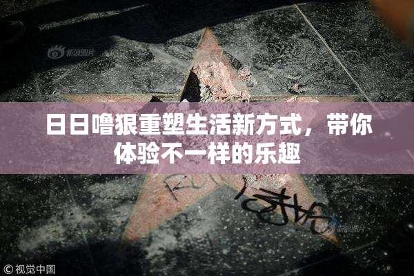 日日噜狠重塑生活新方式，带你体验不一样的乐趣