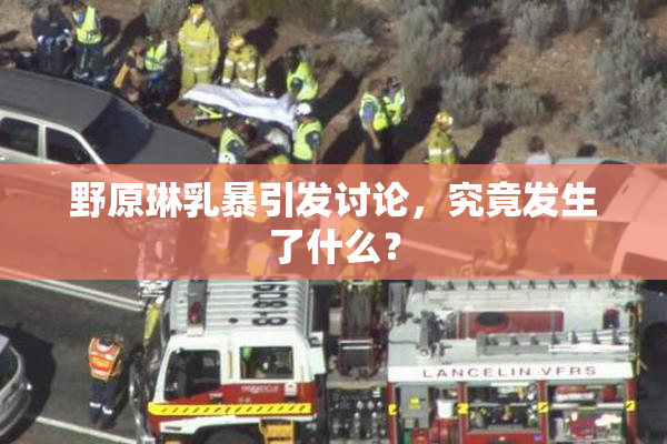 野原琳乳暴引发讨论，究竟发生了什么？
