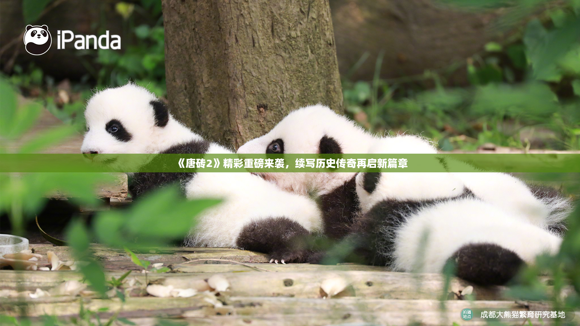 《唐砖2》精彩重磅来袭，续写历史传奇再启新篇章