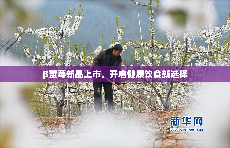 β蓝莓新品上市，开启健康饮食新选择