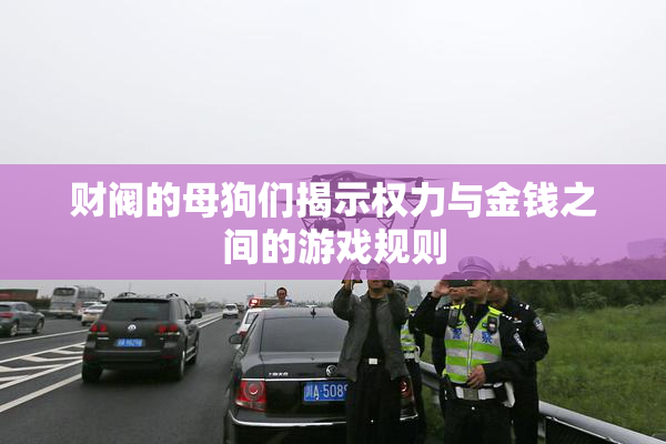财阀的母狗们揭示权力与金钱之间的游戏规则