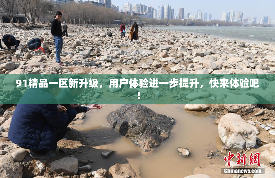 91精品一区新升级，用户体验进一步提升，快来体验吧！