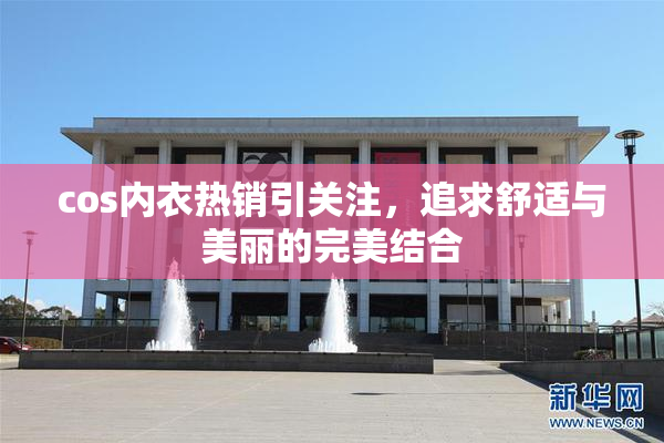 cos内衣热销引关注，追求舒适与美丽的完美结合