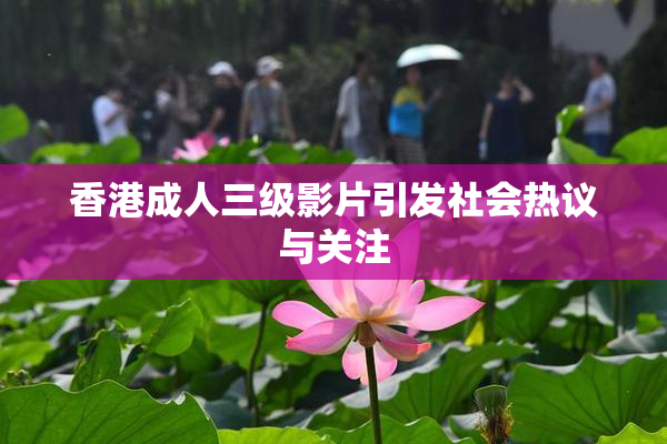 香港成人三级影片引发社会热议与关注