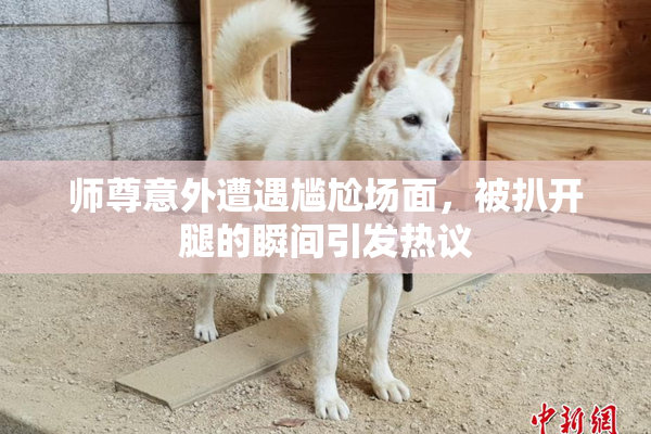 师尊意外遭遇尴尬场面，被扒开腿的瞬间引发热议