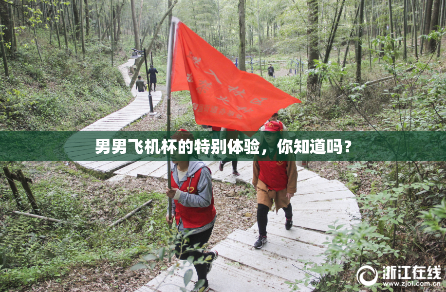 男男飞机杯的特别体验，你知道吗？