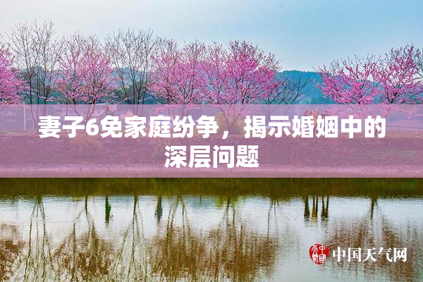 妻子6免家庭纷争，揭示婚姻中的深层问题