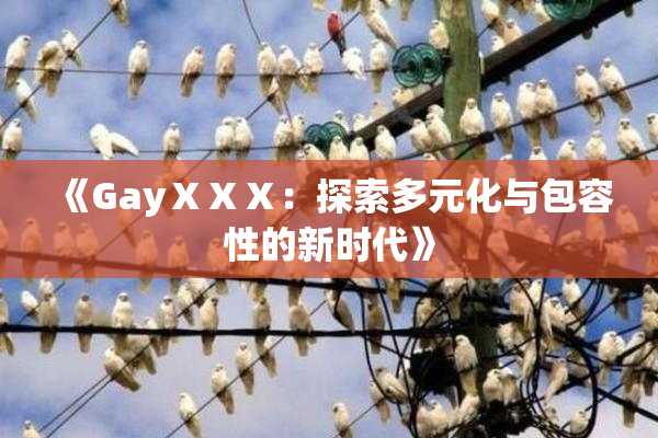 《GayⅩⅩⅩ：探索多元化与包容性的新时代》