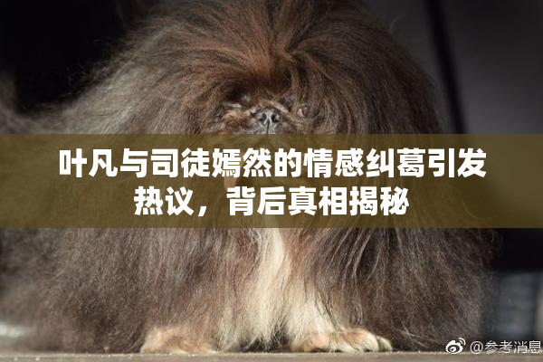 叶凡与司徒嫣然的情感纠葛引发热议，背后真相揭秘