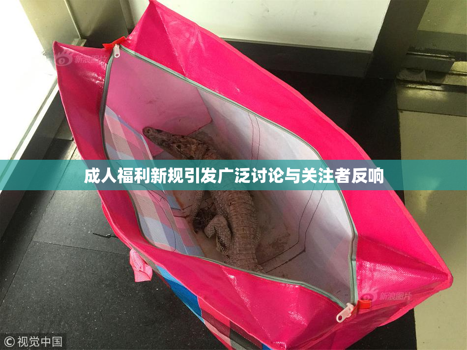 成人福利新规引发广泛讨论与关注者反响