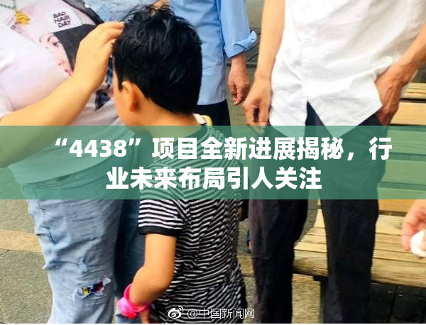 “4438”项目全新进展揭秘，行业未来布局引人关注