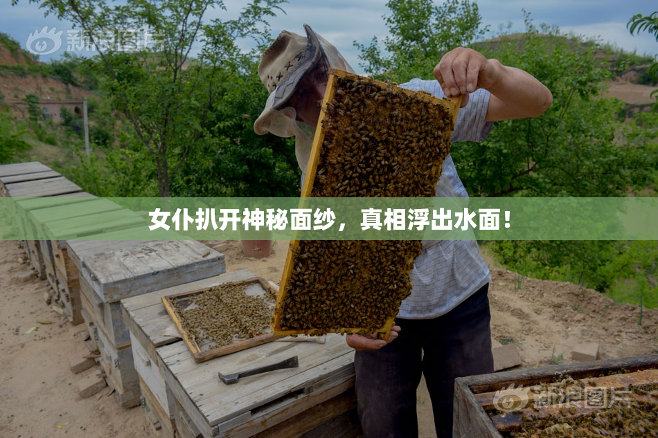 女仆扒开神秘面纱，真相浮出水面！