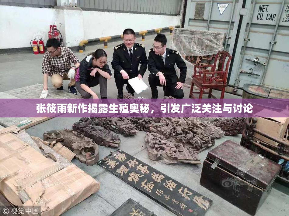 张筱雨新作揭露生殖奥秘，引发广泛关注与讨论