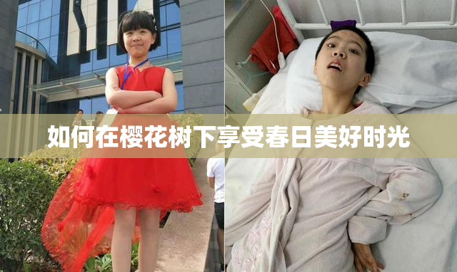 如何在樱花树下享受春日美好时光
